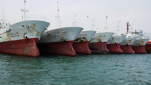 Đây là 45 con tàu đầu tiên (trong số 100 tàu) mua từ Hàn Quốc sẽ về Việt Nam vào cuối tháng 8 tới.