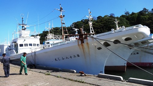 Đây là một trong những con tàu được CTCP Đức Khải mua lại từ Nhật Bản.