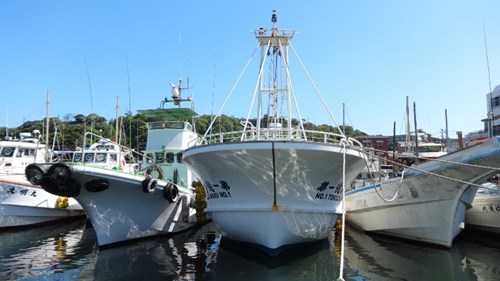 Số tàu này sẽ sớm được đưa về Việt Nam để hoàn tất thủ tục để đầu năm 2015 cùng tiến ra vùng biển Hoàng Sa đánh bắt thủy, hải sản.